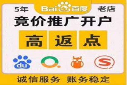 案例回顾：SEM托管助力企业实现快速扩张